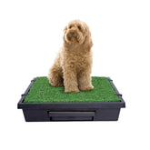 PetSafe Pet Loo avec toilettes-portables et pelouse synthétique pour entraînement intérieur