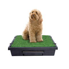 PetSafe Pet Loo avec toilettes-portables et pelouse synthétique pour entraînement intérieur