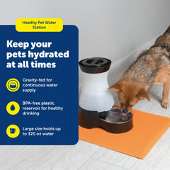 Réservoir PetSafe gravité avec remplissage facile et accessibilité 24h.
