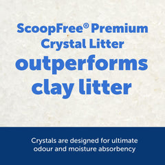 PetSafe ScoopFree Cristaux Absorption Rapide: contrôle des odeurs pour une maison plus fraîche