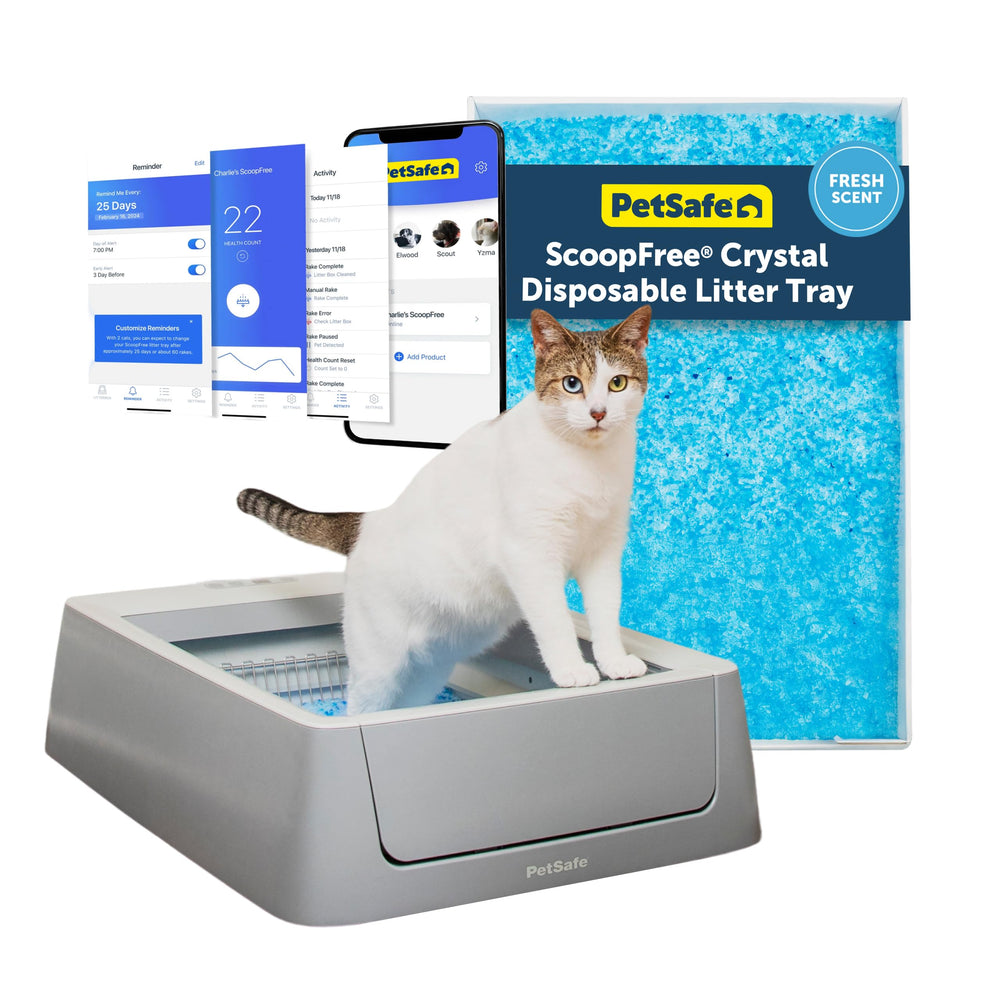 PetSafe ScoopFree Crystal, litière auto-nettoyante facilitant l’entretien quotidien.