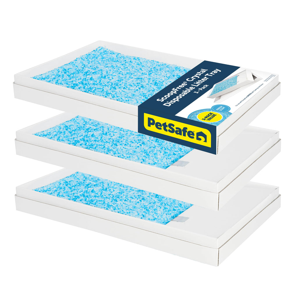 PetSafe ScoopFree litière cristaux jetable: absorption rapide et entretien sans ramassage.