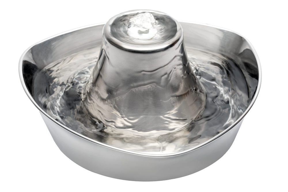 PetSafe Seaside fontaine en acier inoxydable, résistance et hygiène pour chiens et chats.