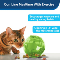SlimCat compatible lave-vaisselle, nettoyage rapide après le jeu et le repas.
