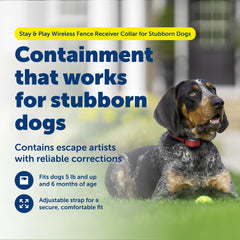 PetSafe Stay & Play : zone périmétrique réglable pour jeux extérieurs.