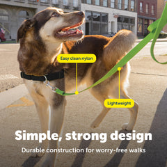 PetSafe Utilisation quotidienne, idéale au parc ou en quartier.