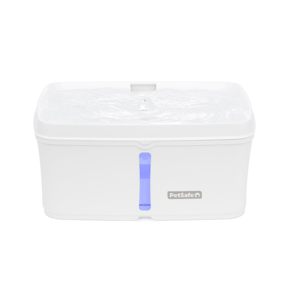 PetSafe Viva fontaine en inox pour hydratation durable et propre.