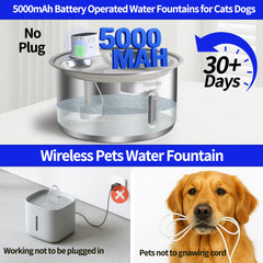 Fontaine Petsamuse en acier inox SUS304, hygiène et durabilité garanties.
