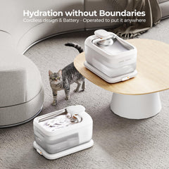 Batterie rechargeable PETSEE 6000mAh pour une autonomie en déplacement.