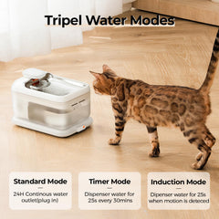Trois modes de distribution PETSEE: standard, minuterie et induction.