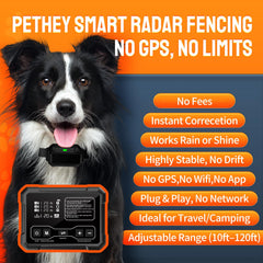 PETHEY F900 collier chien prêt à l’emploi pour toutes tailles et races.