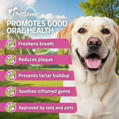 PetSilver application rapide quotidienne pour l’entretien dentaire sans brossage