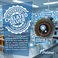 PetSilver application orale directe pour soulagement ciblé.