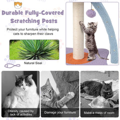 PETSITE arbre-chat échelle à quatre marches pour monter facilement.