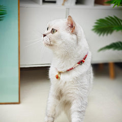 PetsMeow collier avec boucle de sécurité anti accrochage lors du jeu