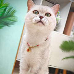Tissu crepe soyeux PetsMeow, confort quotidien sans irritations pour votre chat.