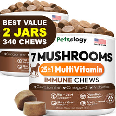 Petsology champignon queue de dindon: soutien immunitaire quotidien pour chiens.