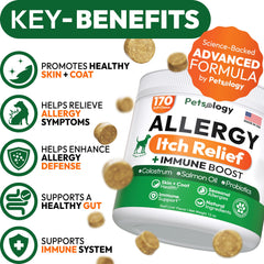 Petsology Dog Allergy Relief Chews, etiquette claire pour guider l utilisateur et le choix.