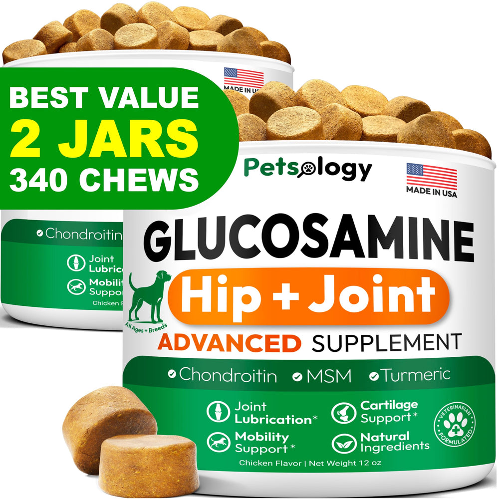 Petsology Glucosamine pour chiens – bouchée en bouteille, présentation 2 paquets, soutien mobilité