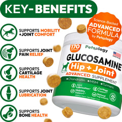 Friandises Petsology Glucosamine pour chiens: soutien potentiel à la mobilité.