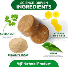 Petsology ingrédients-naturels-puces-tiques: formulation naturelle pour le confort quotidien du chien.