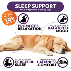 Petsology Mélatonine pour chien – apaise lors des orages nocturnes