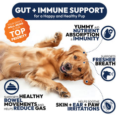Petsology Probiotiques chiens — dosage quotidien simple pour le soutien digestif.