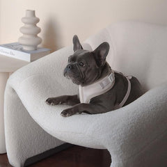 HARNAIS PETsRUS avec maille respirante pour une meilleure ventilation pendant l’effort.