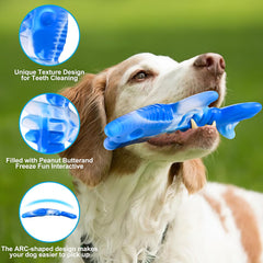 PETSTA stimulation physique et mentale, pour garder votre chien actif et concentré.