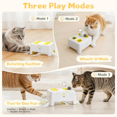 PETSWEET mode-jeu-3, s adaptes a tous les caracteres