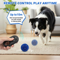 PETSWEET mode saut, jouet réactif qui surprend et excite le chien.