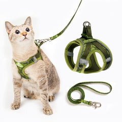 Harnais PetThem anti evasion, securite et confort pour chat