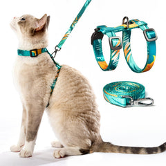PetThem harnais chat anti fuite, confort optimal pour promenade sûre