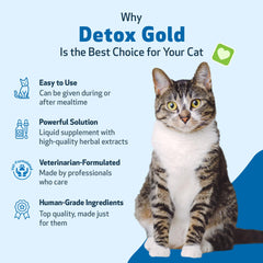 Pet Wellbeing Detox Gold ingrédients herbes — ortie, chardon bénit et bardane pour le bien-être