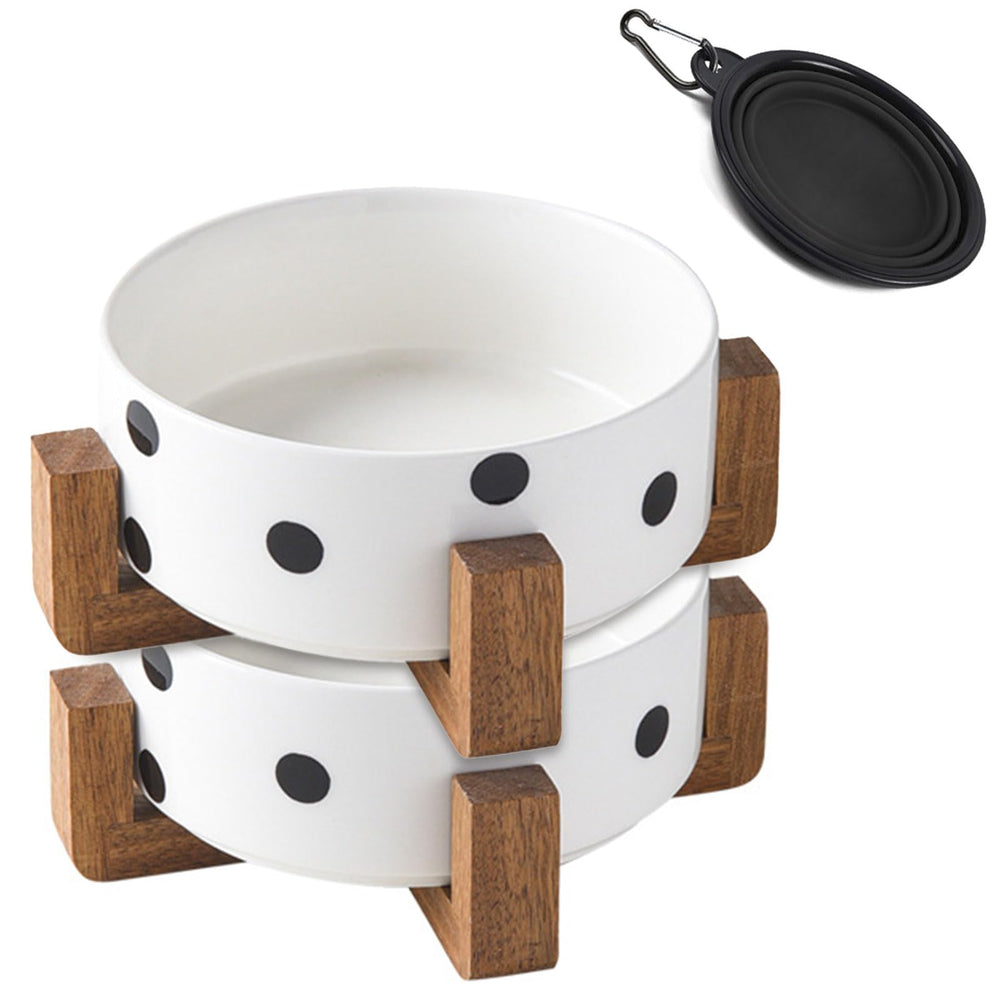 Petygooing bols ceramiques avec support pour chien, repas stables et propres.