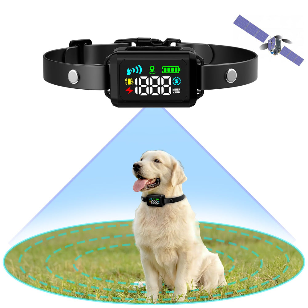 Collier GPS Petyida pour chiens délimitant précisément le périmètre.