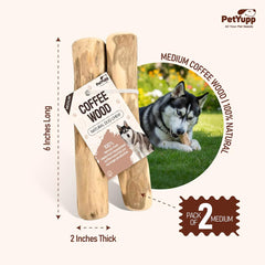 PetYupp chien avec baton bois cafe — chien tenant et profitant d'une mastication durable.