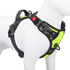 PHOEPET harnais moyen avec clip frontal pour limiter les tirages lors des promenades.