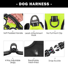 PHOEPET harnais petit chien – trois boucles faciles à mettre et enlever.