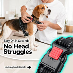 PHOEPET harnais poitrine double boucles – ajustement rapide et confort durable.