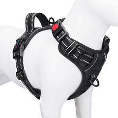 PHOEPET harnais sans tirage avec clip frontal, facilite les promenades quotidiennes.