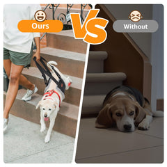 PICK FOR LIFE - aide mobilité pour grands chiens.