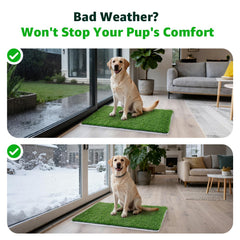PICK FOR LIFE chiots utilisant le tapis, solution pratique à domicile
