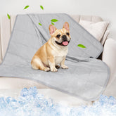 Couverture Pick For Life refroidissante pour chien, frais immédiat et agréable.