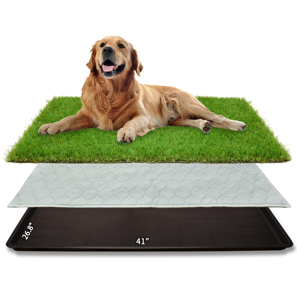 PICK FOR LIFE grand tapis pelouse artificielle pour chien, entretien facile