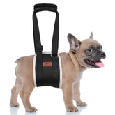 Harnais Pick For Life levage chien arrière: aide sécurisé au levage et mobilité