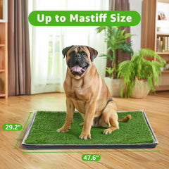 PICK FOR LIFE tapis-chien-lavable, pads réutilisables pour absorption efficace
