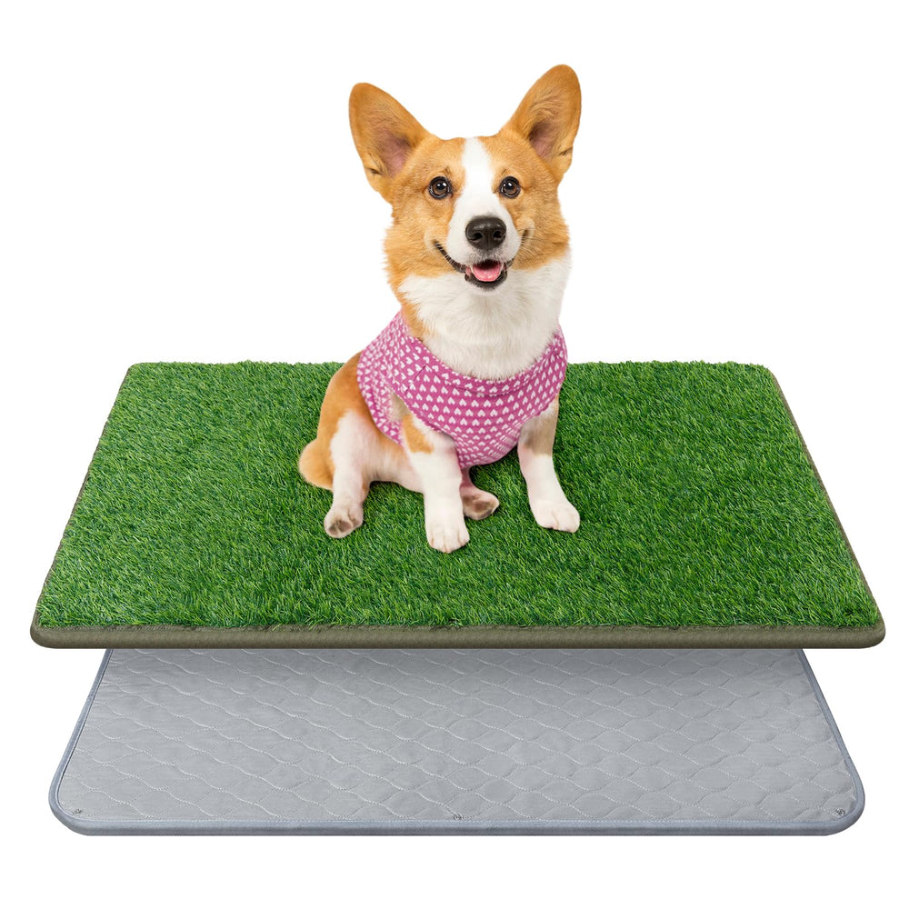 PICK FOR LIFE tapis-herbe-artificielle-chien 18x30: apprentissage propre et durable