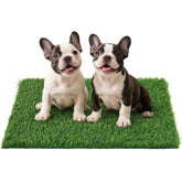 PICK FOR LIFE tapis d'herbe artificielle pour chiens, toilette pratique en intérieur