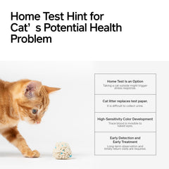 Pidan Tofu Chat Litière – absorption ultra efficace pour limiter les déchets.